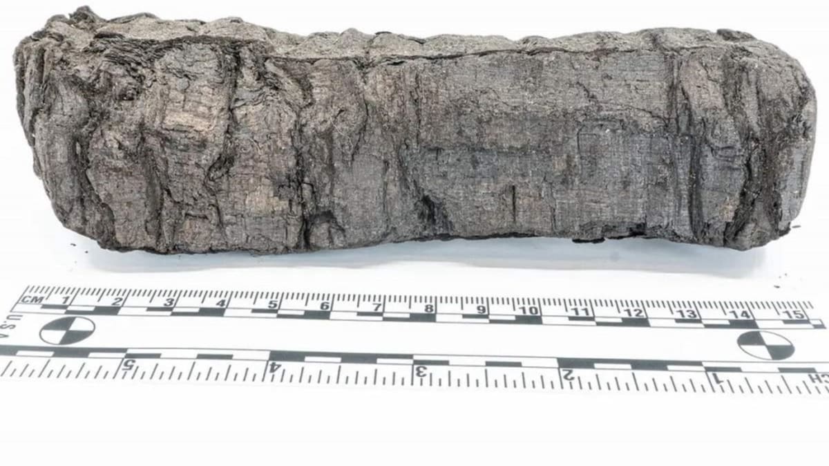 AI Unlocks 2,000-Year-Old Scrolls From Vesuvius Eruption - Image 2