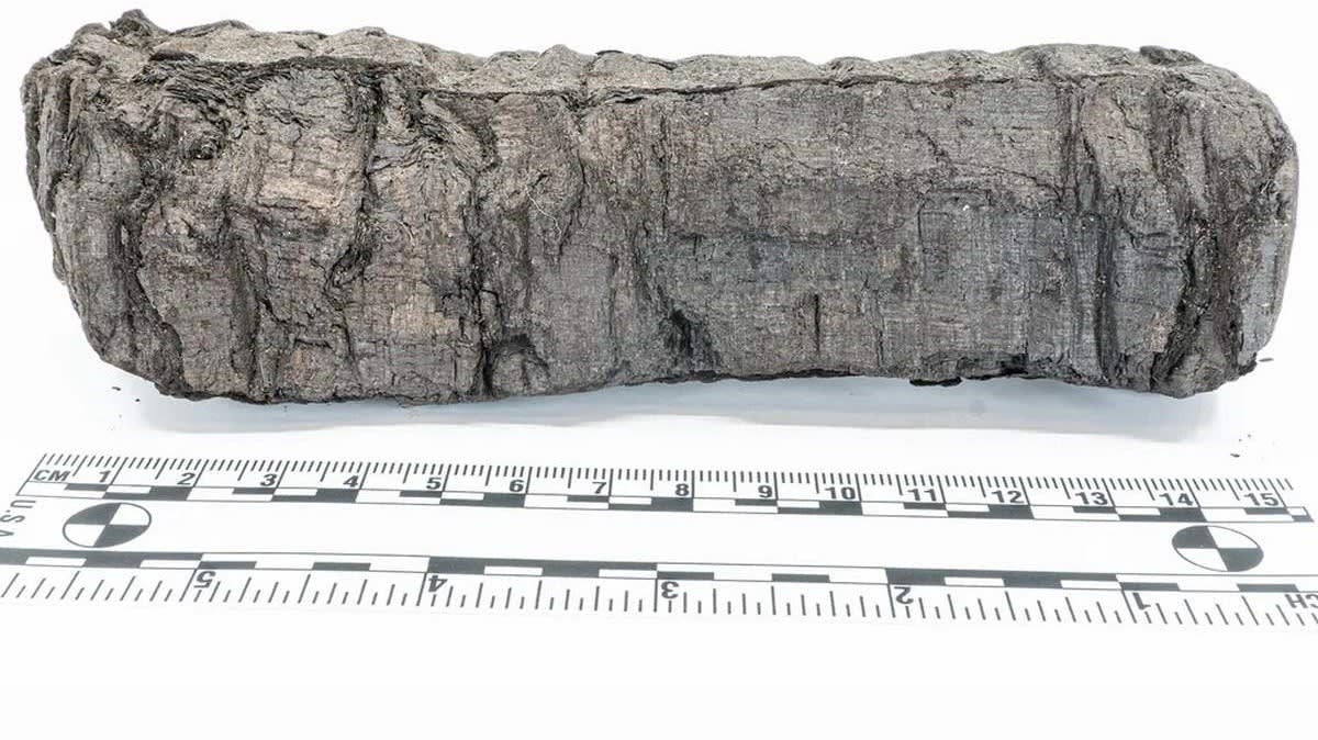 Ancient carbonized scroll from Herculaneum with AI-detected text revealing Greek philosophical writings
