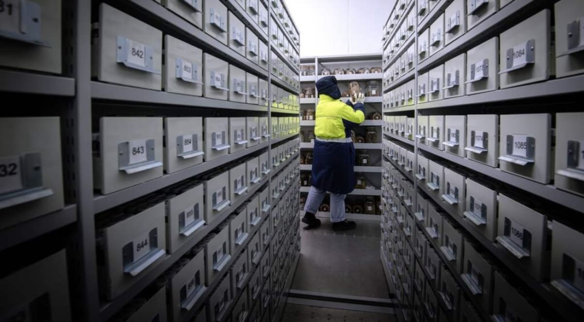 7.4M Plant Samples Digitized to Save Endangered Species - Image 2