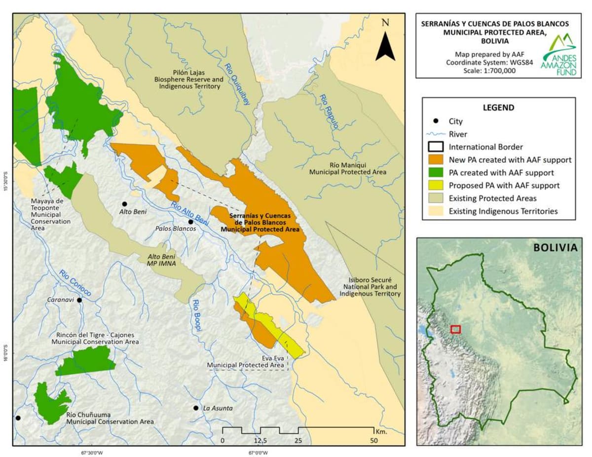 Bolivia Protects 660 Square Miles of Untouched Forest - Image 3