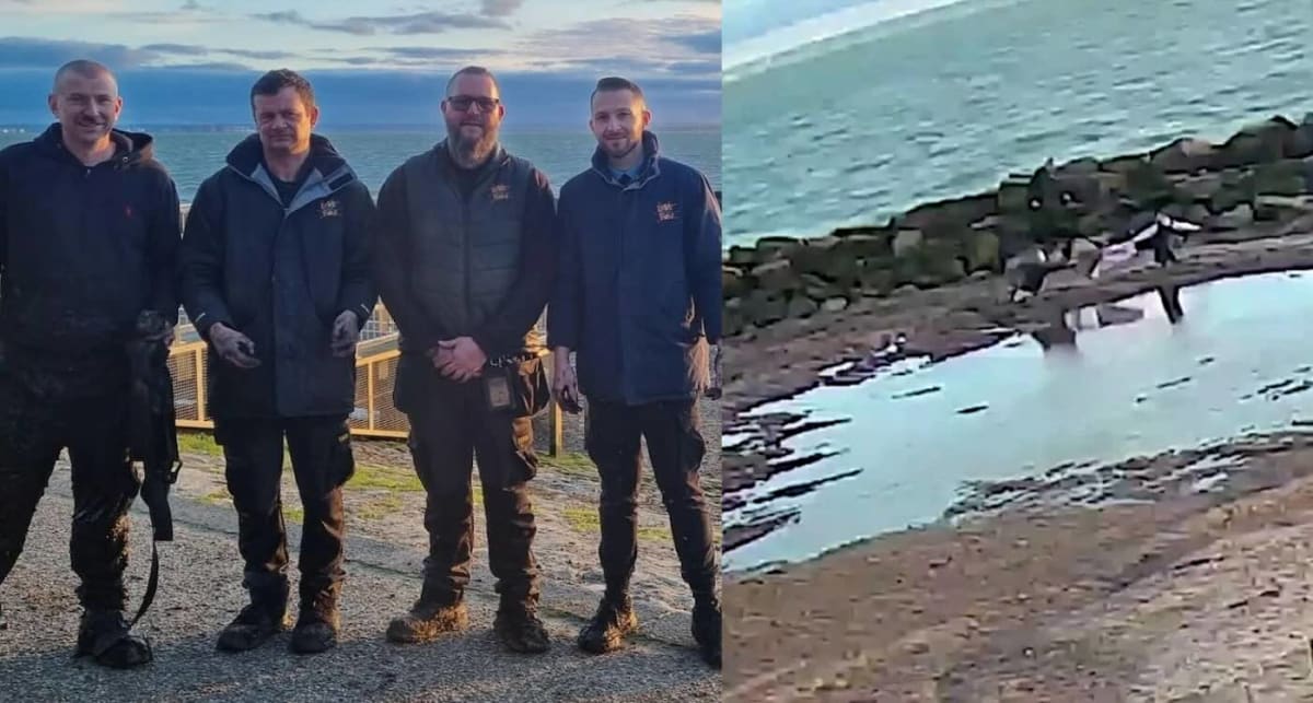 Theme Park Heroes Rescue Mom and Daughter from Sand Trap