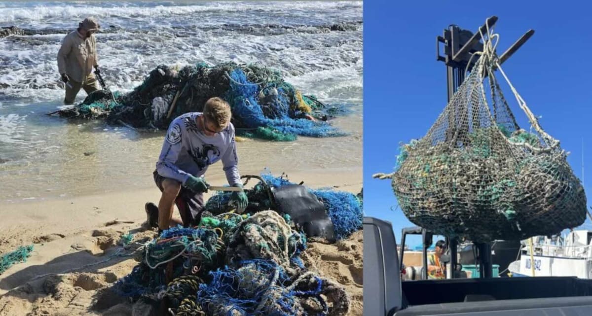 Hawaii Fishermen Paid to Pull 84 Tons of Nets from Ocean - Image 2