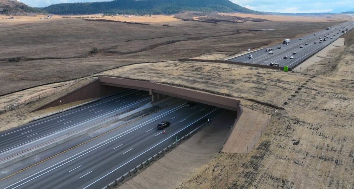 Wide wildlife overpass covered in dirt and vegetation spanning six lanes of Interstate 25 in Colorado