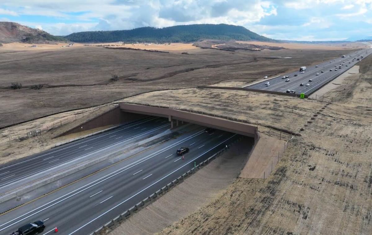 North America's Largest Wildlife Bridge Opens in Colorado - Image 2