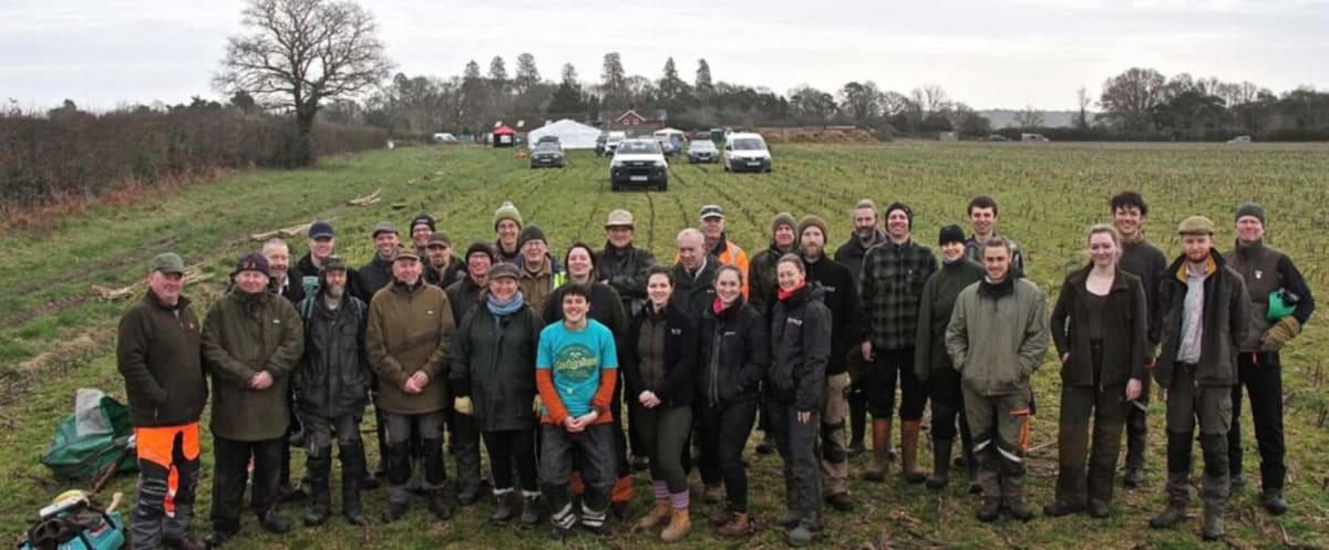 Volunteers Plant 15-Mile 'Mega Hedge' Connecting Two Parks - Image 2