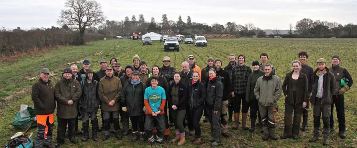 Volunteers Plant 15-Mile 'Mega Hedge' Connecting Two Parks
