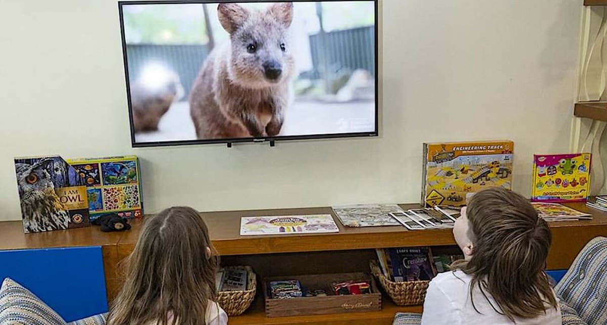 Young hospital patient smiling while watching animals on the San Diego Zoo Wildlife Explorers streaming channel