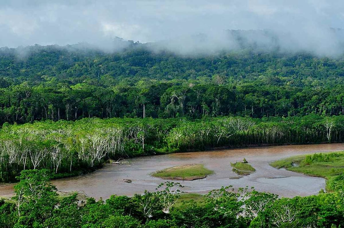 Lush green Andean cloud forest meeting Amazon rainforest in Bolivia's newly protected reserve area