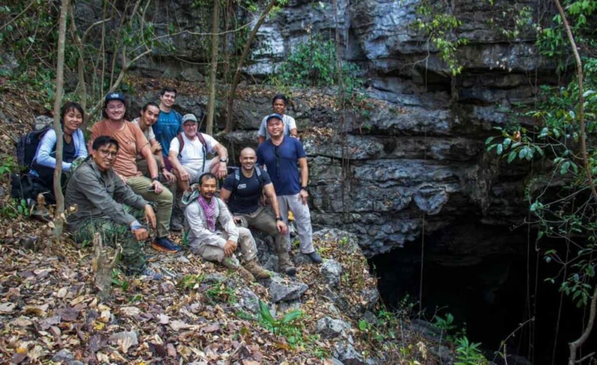 Cambodia Caves Yield Stunning New Viper and 10 Other Species - Image 5