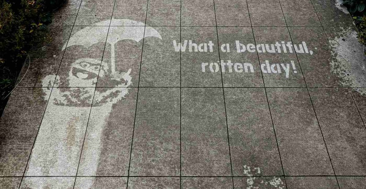 Hidden street art of orca whale appearing on wet sidewalk through eco-friendly rain-activated coating