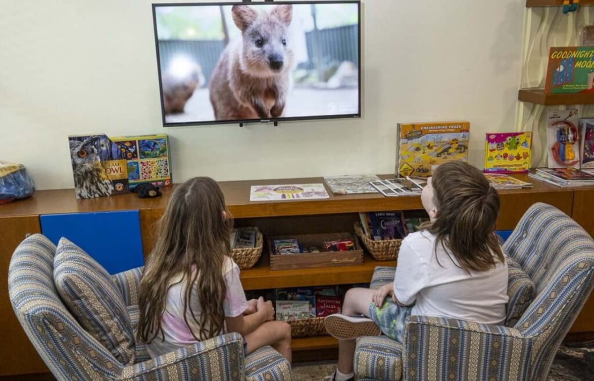 San Diego Zoo Channel Now Streaming in 400 Hospitals - Image 2