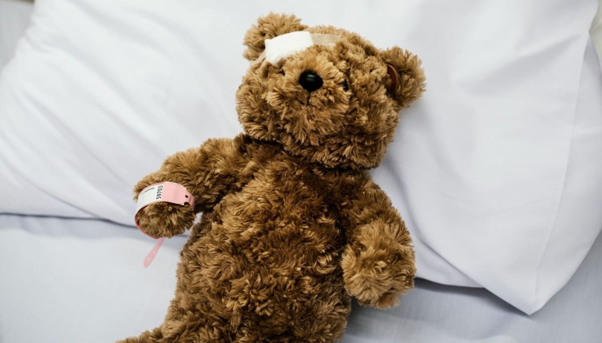 Vancouver's 'Teddy Bear Doctor' Fixes Memories, Too