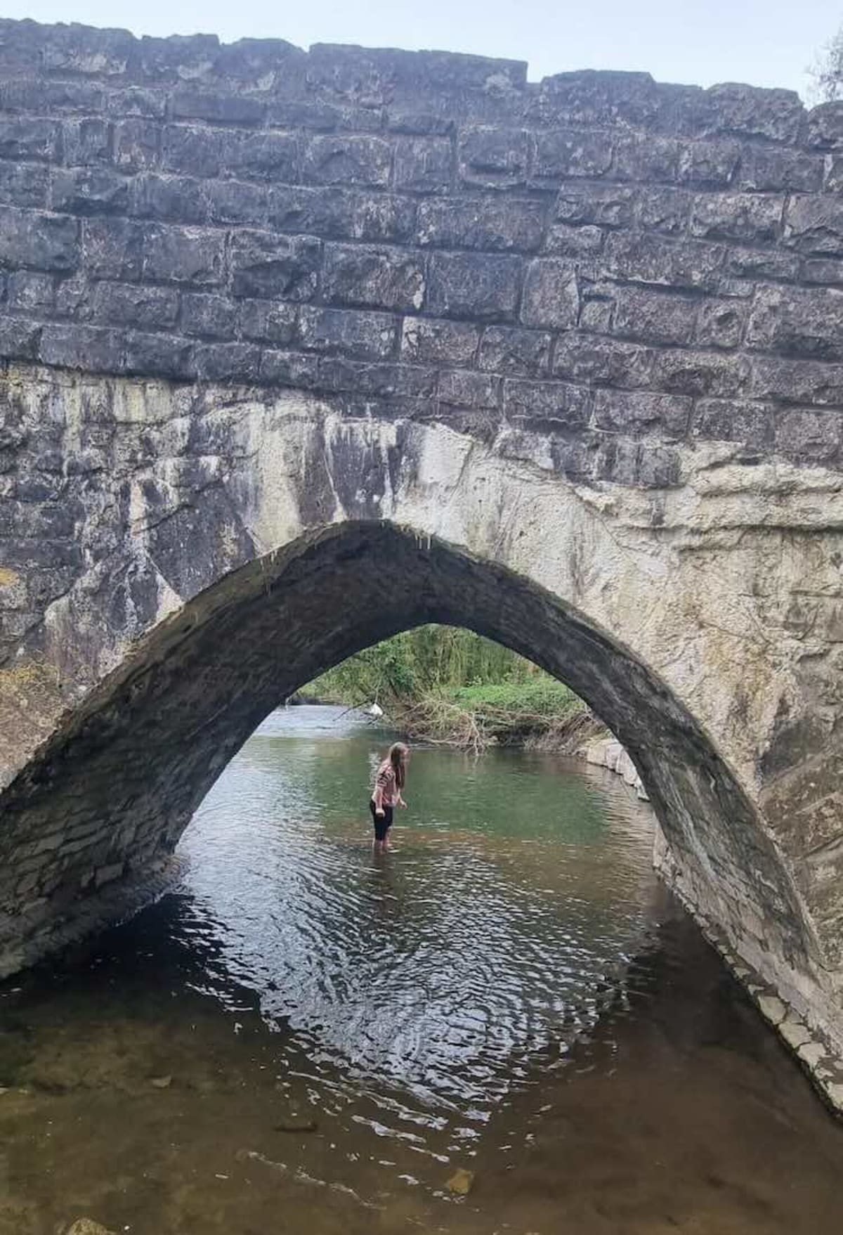 10-Year-Old Saves Critically Endangered Axolotl in Wales - Image 2