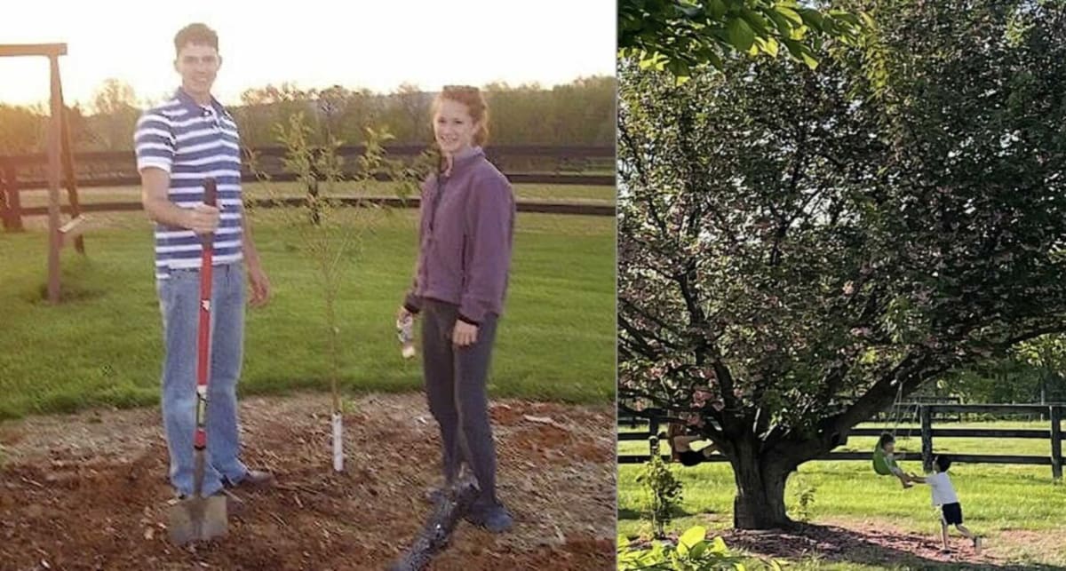 Cherry Tree Sprouts Baby Shoot When Couple Has Twins - Image 2