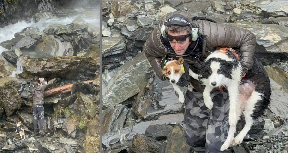 Border collie Molly being rescued by helicopter crew from rocky cliff in New Zealand mountains