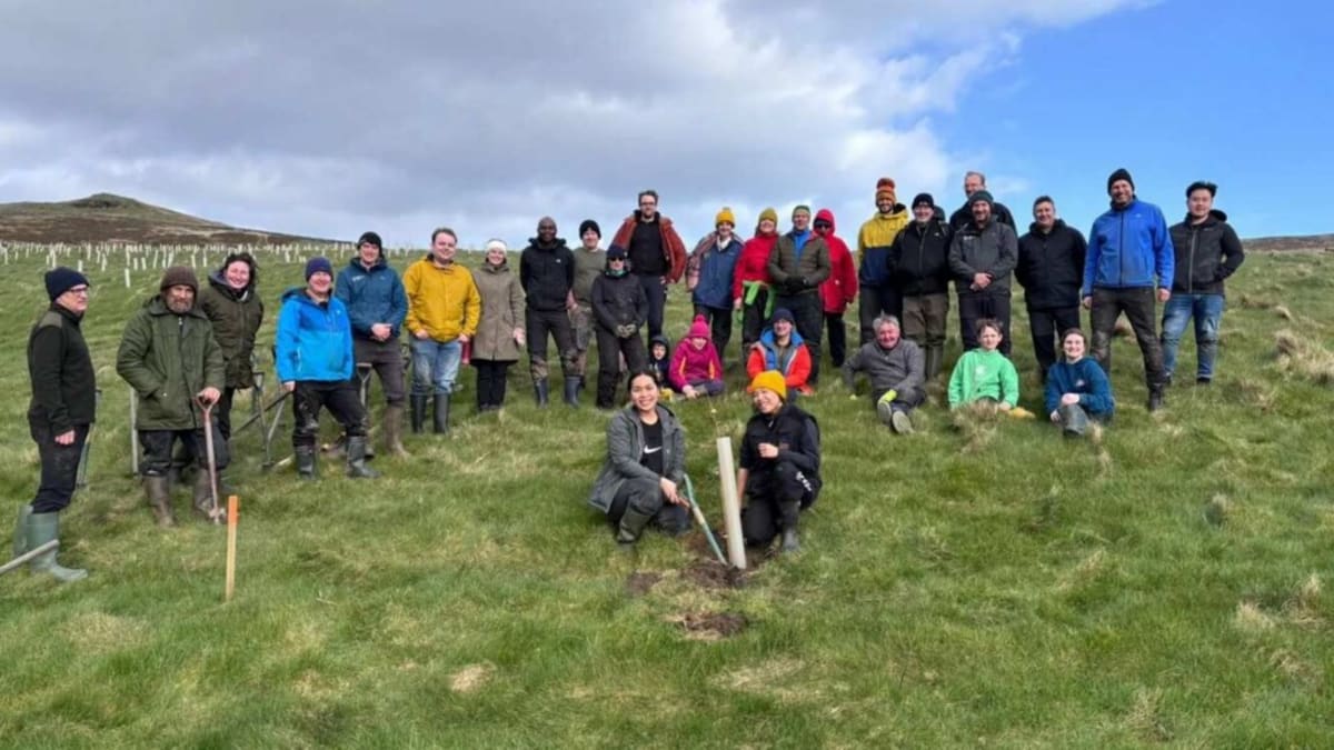 Isle of Man Plants 30,000 Trees, Beats Rainforest Goal - Image 2