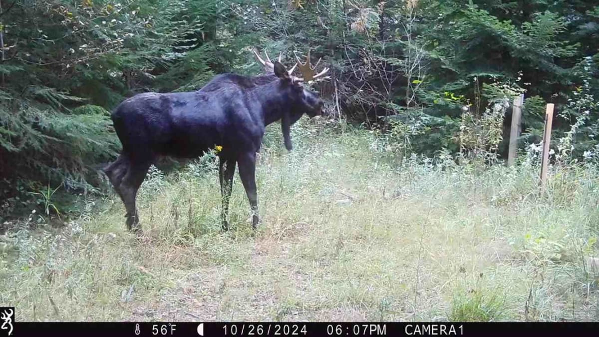 Man Returns 885 Acres of Wildlife Haven to Kalispel Tribe