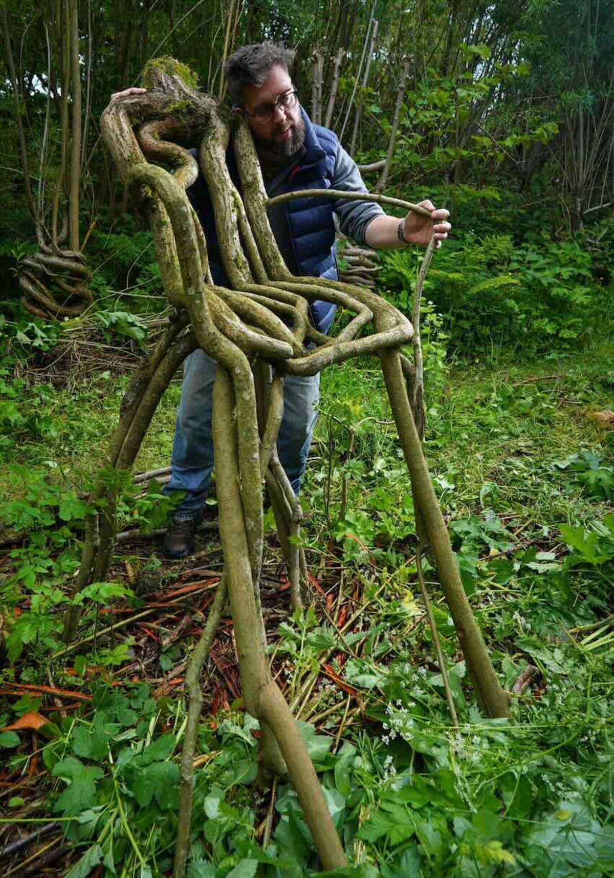British Couple Grows Chairs Directly on Living Trees - Image 3