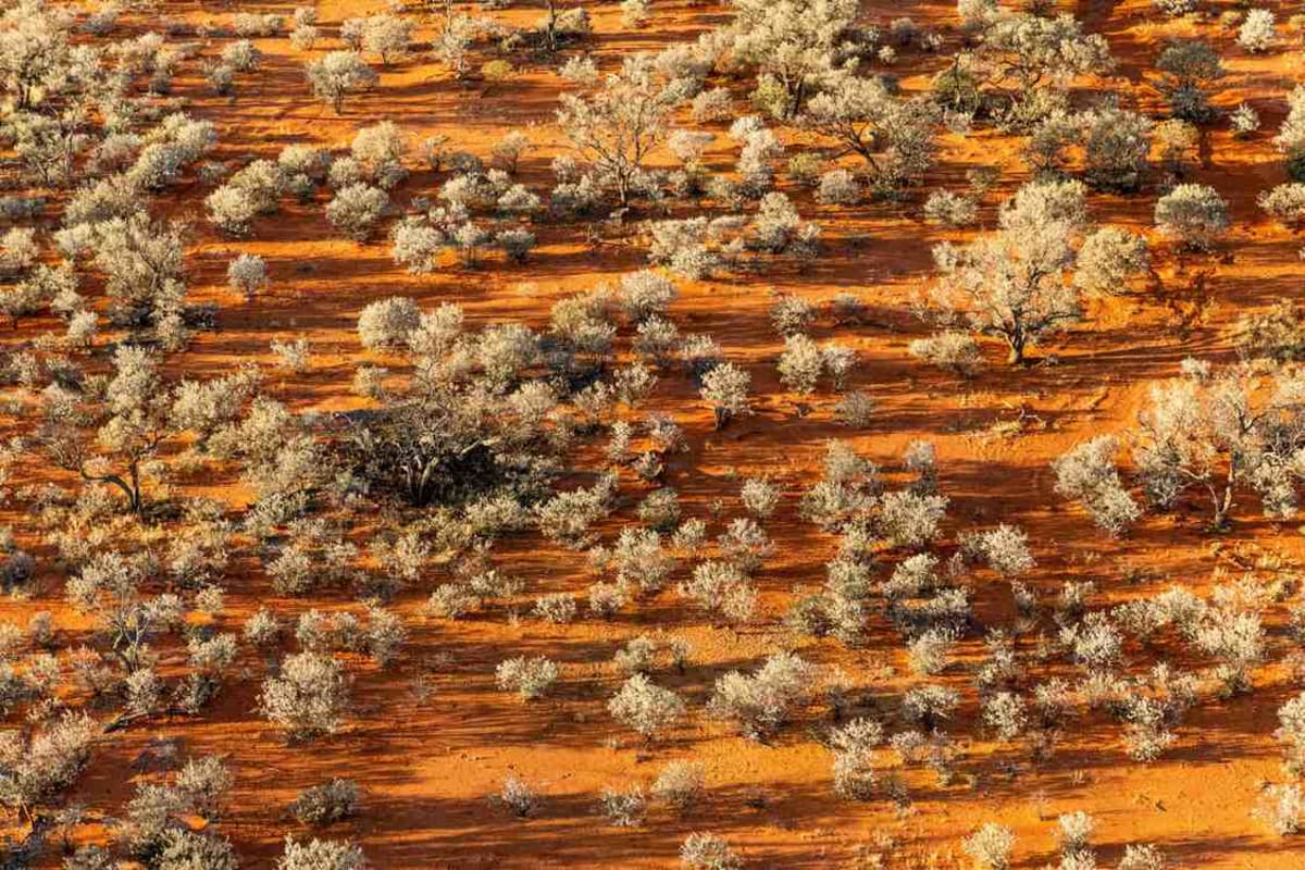 85 Million Acres Now Protected by Private Landowners