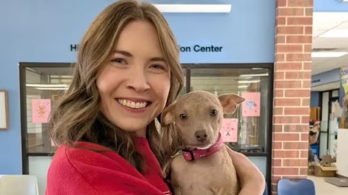 Hairless Puppy Found in Cabinet Now Thriving in New Home - Image 3