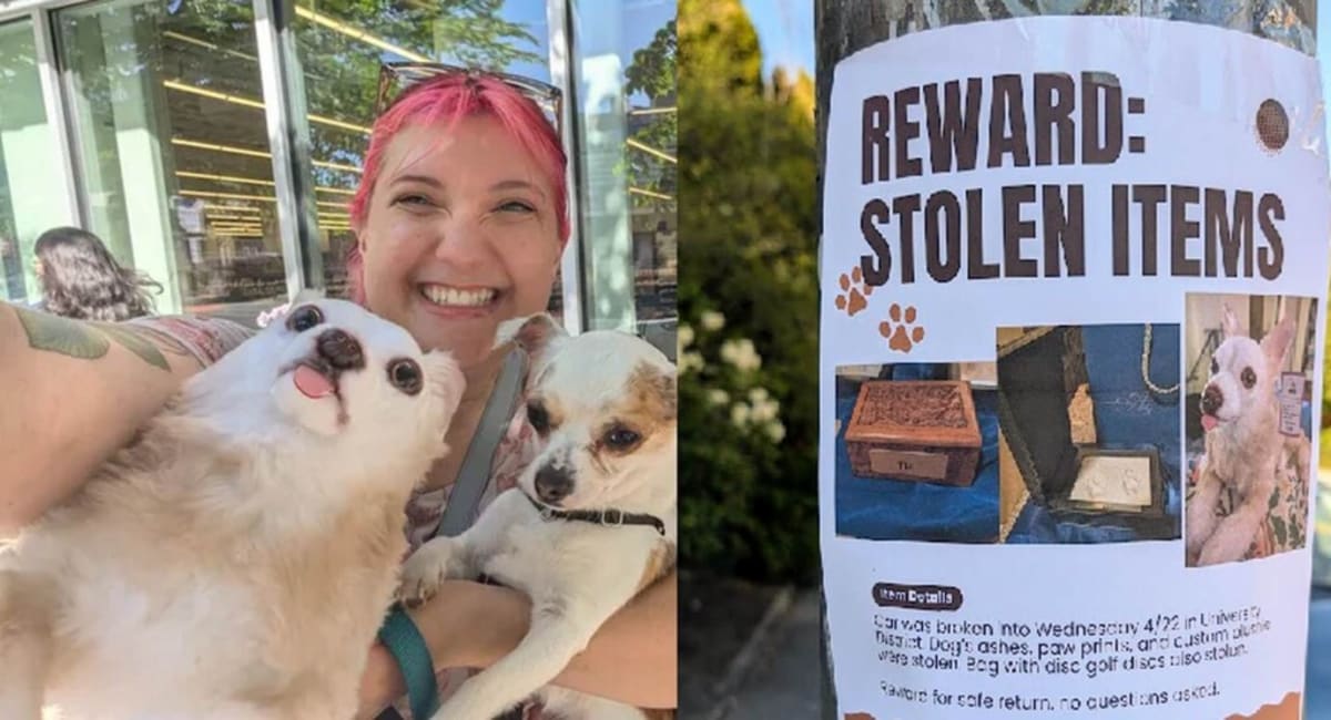 Seattle Homeless Man Gets Apartment After Returning Dog's Ashes - Image 2
