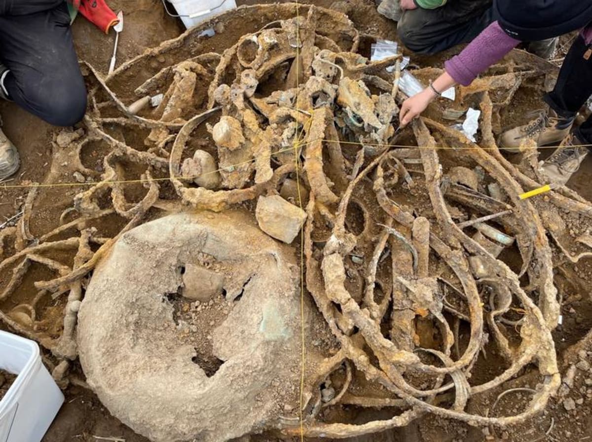 Britain's Largest Iron Age Hoard Reveals 4-Horse Carriage - Image 2