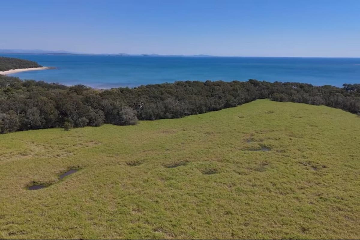 Queensland Removes Tidal Gates, Brings Mangroves Back to Life - Image 3