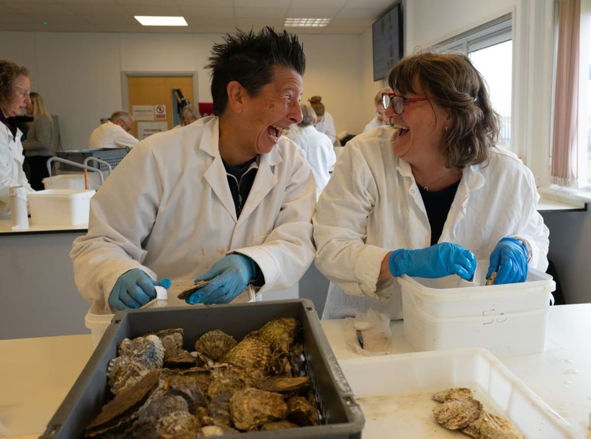 260 Volunteers Restore 20,000 Oysters to Portsmouth Waters - Image 3