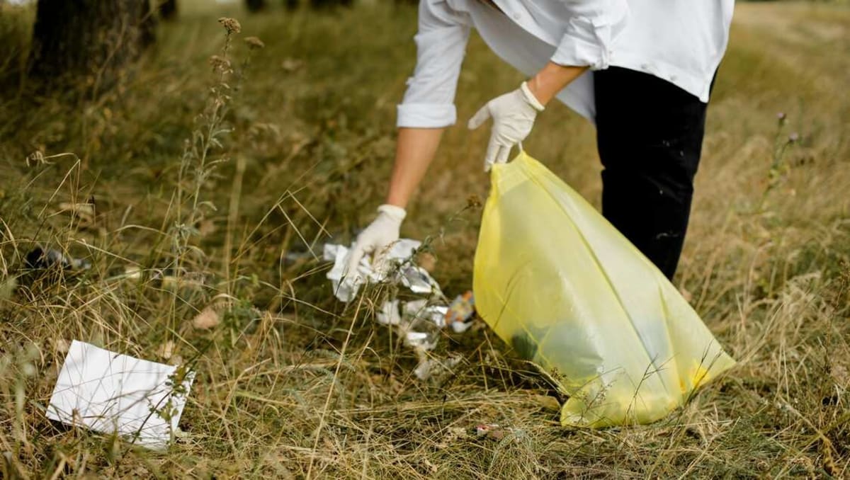 US Litter Drops 34% Since 2020, Study Finds