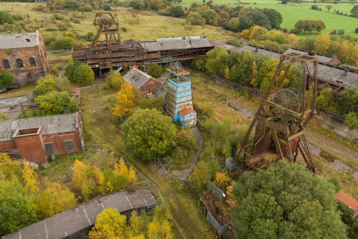Owls Reclaim UK Coal Mine 50 Years After Closure - Image 4