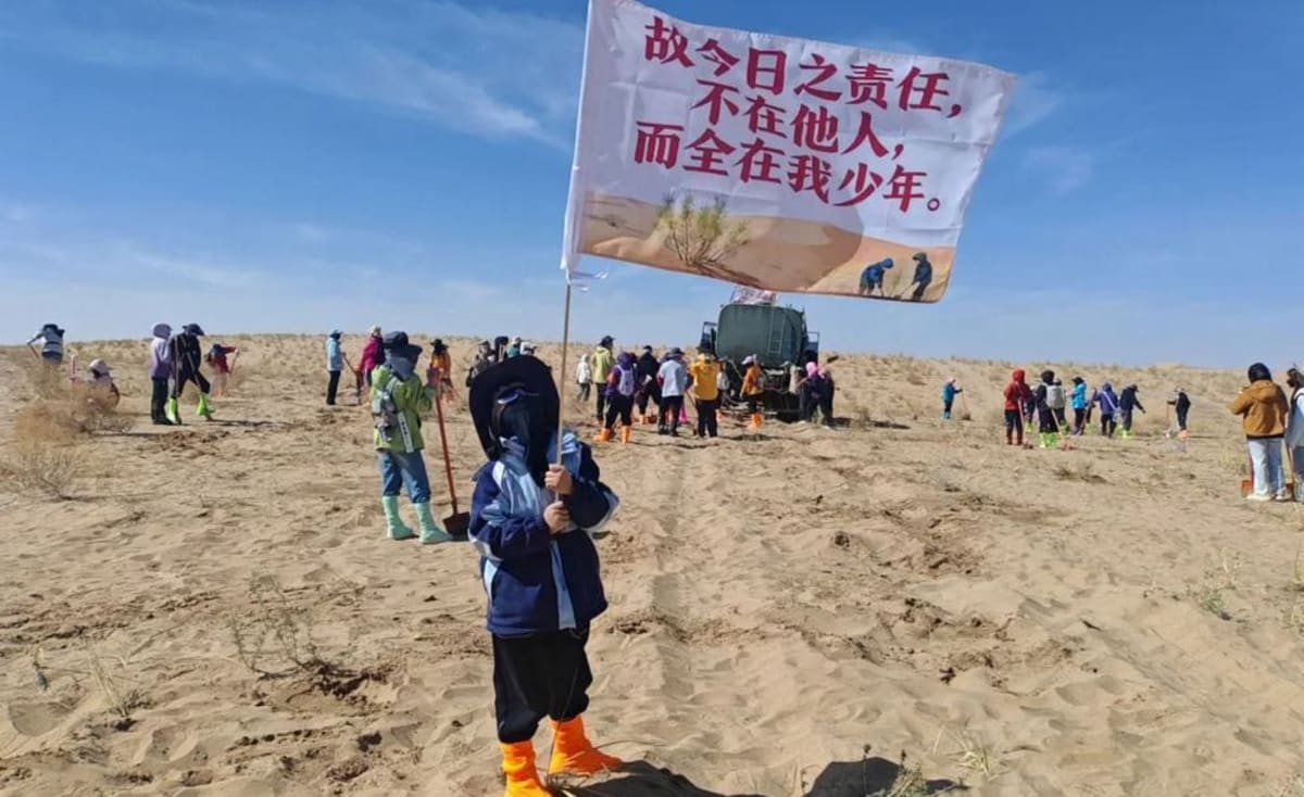 Volunteers planting trees in sandy terrain under bright sun in Minqin County, China