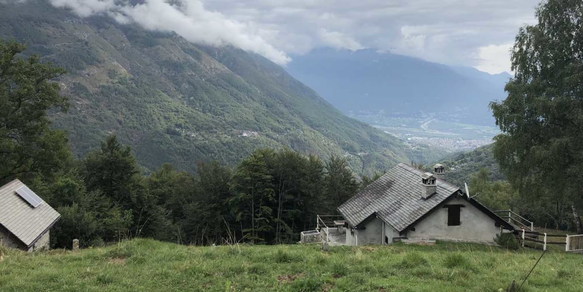 Lush green forests covering mountain slopes in Italy's Piemonte region with valley below