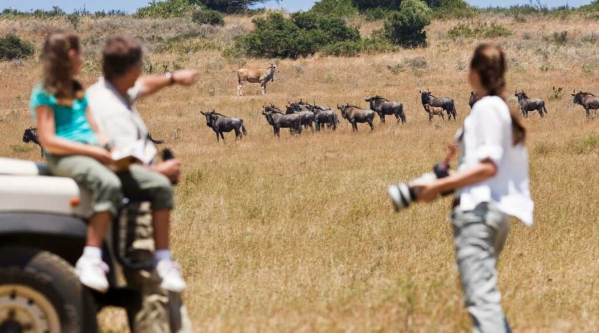 Kruger National Park Celebrates 100 Years Protecting Wildlife - Image 3