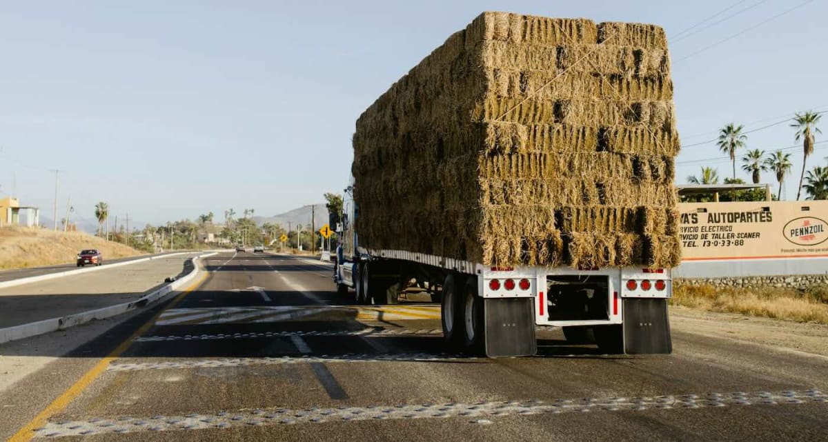 Ranchers Receive $1M+ After Nebraska's Largest Wildfire