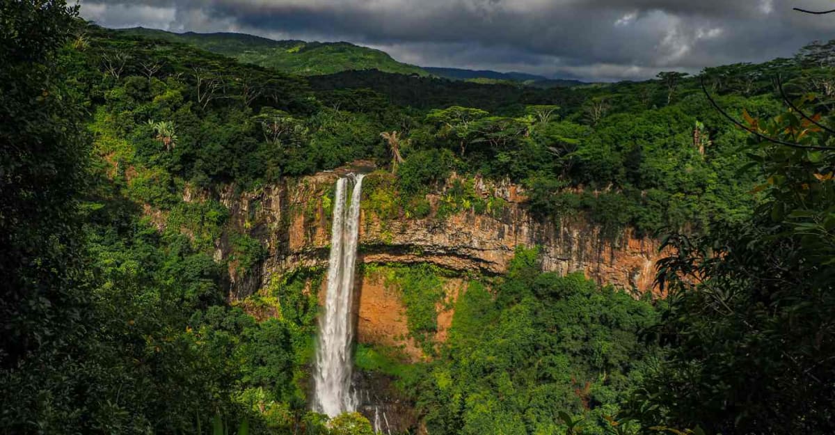 France Protects 370,000 Acres of Rainforest in French Guiana