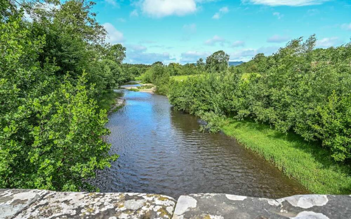 English River Bounces Back After Farmer's $750K Fine - Image 4