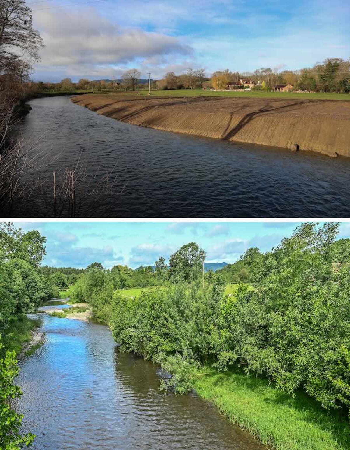 English River Bounces Back After Farmer's $750K Fine - Image 2