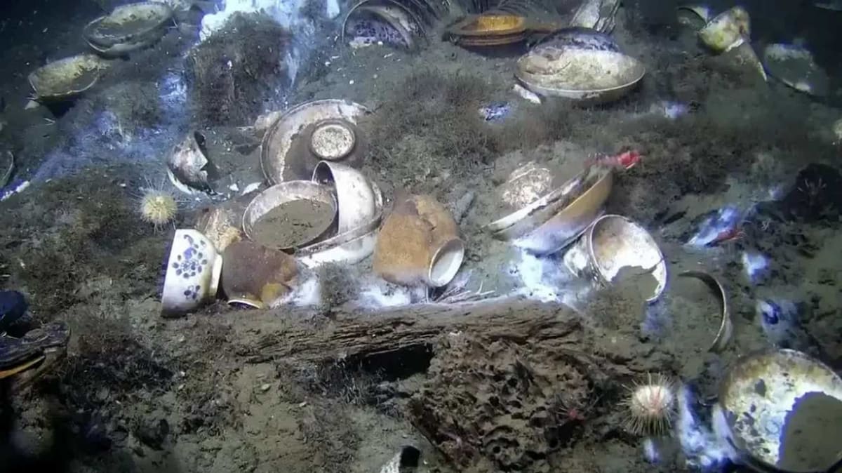 White and blue Chinese porcelain dishes emerging from sandy ocean floor two thousand feet underwater