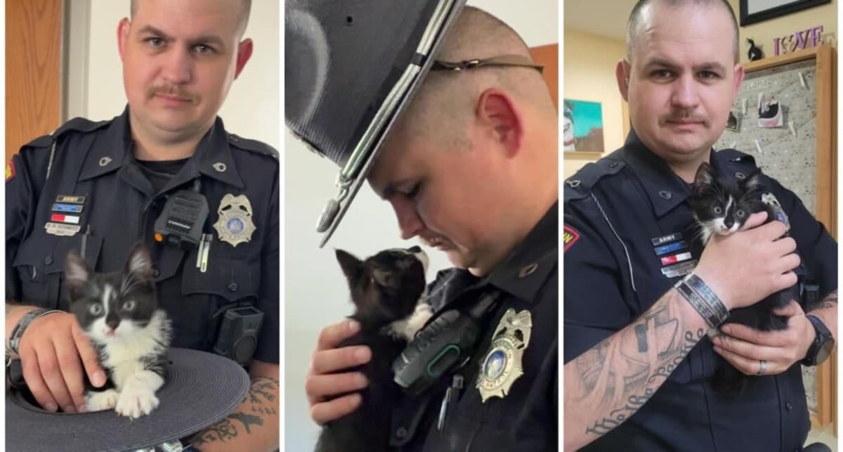 Wisconsin Trooper Adopts Kitten Thrown From Moving Car - Image 2