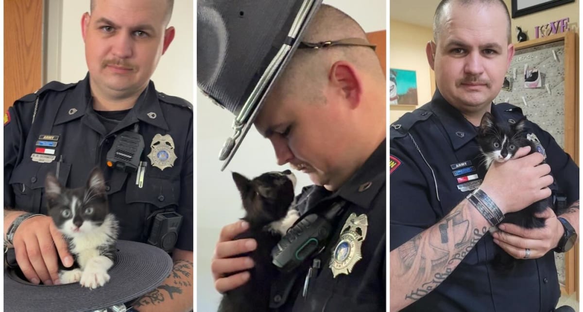 Wisconsin Trooper Adopts Kitten Thrown From Moving Car