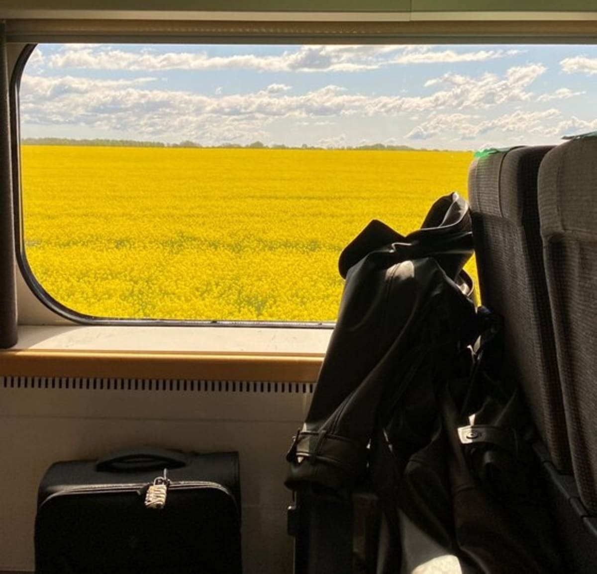 Sweden Launches Scenic 360-Mile Train Route to Oslo - Image 5