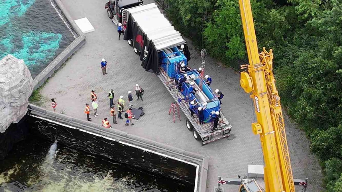 4 Beluga Whales Rescued From Abusive Park Arrive in Chicago - Image 2