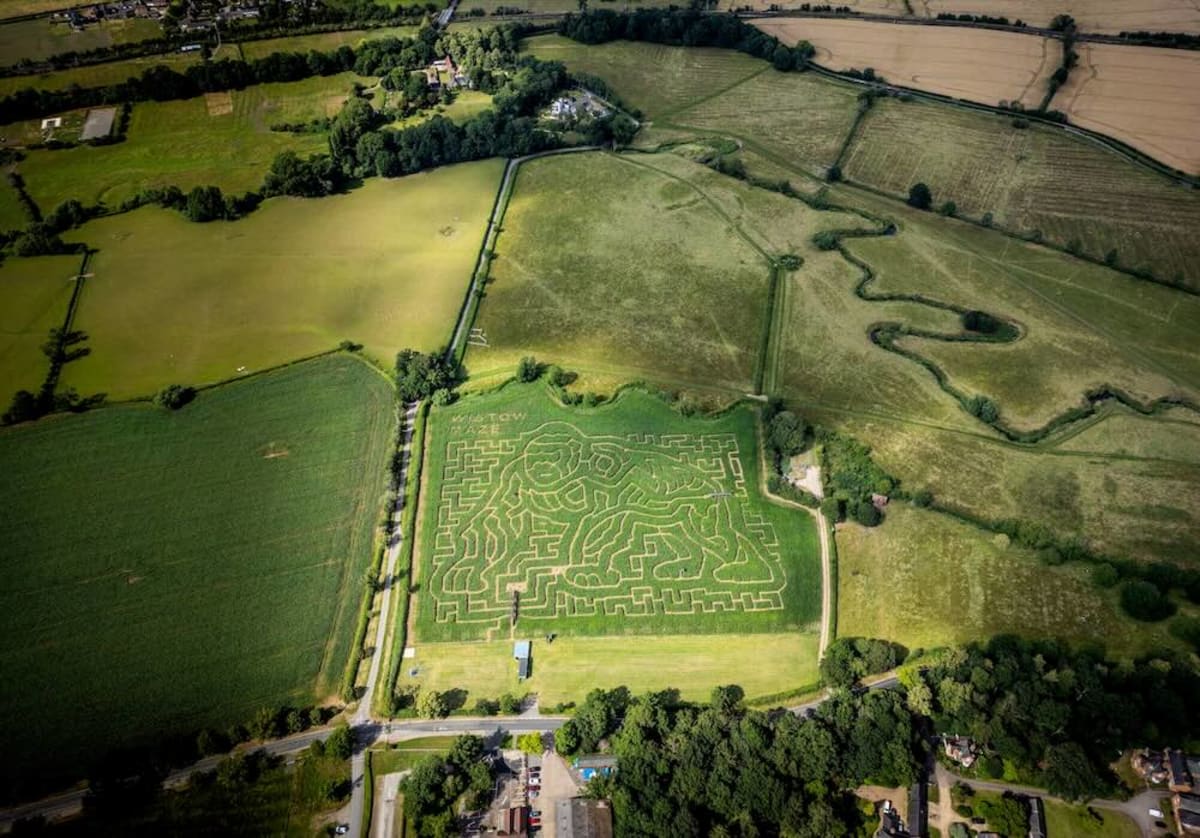 Giant Gorilla Maze Honors David Attenborough's 100th Birthday - Image 2