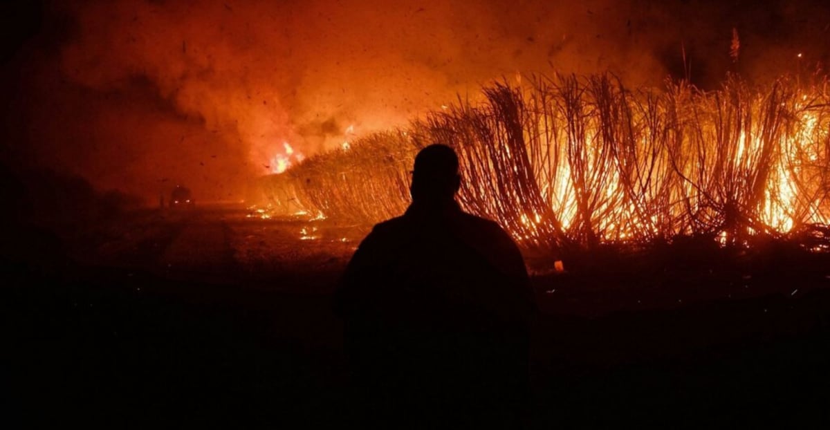 Africa's Wildfire Season Shrinking Thanks to Climate Shift - Image 2