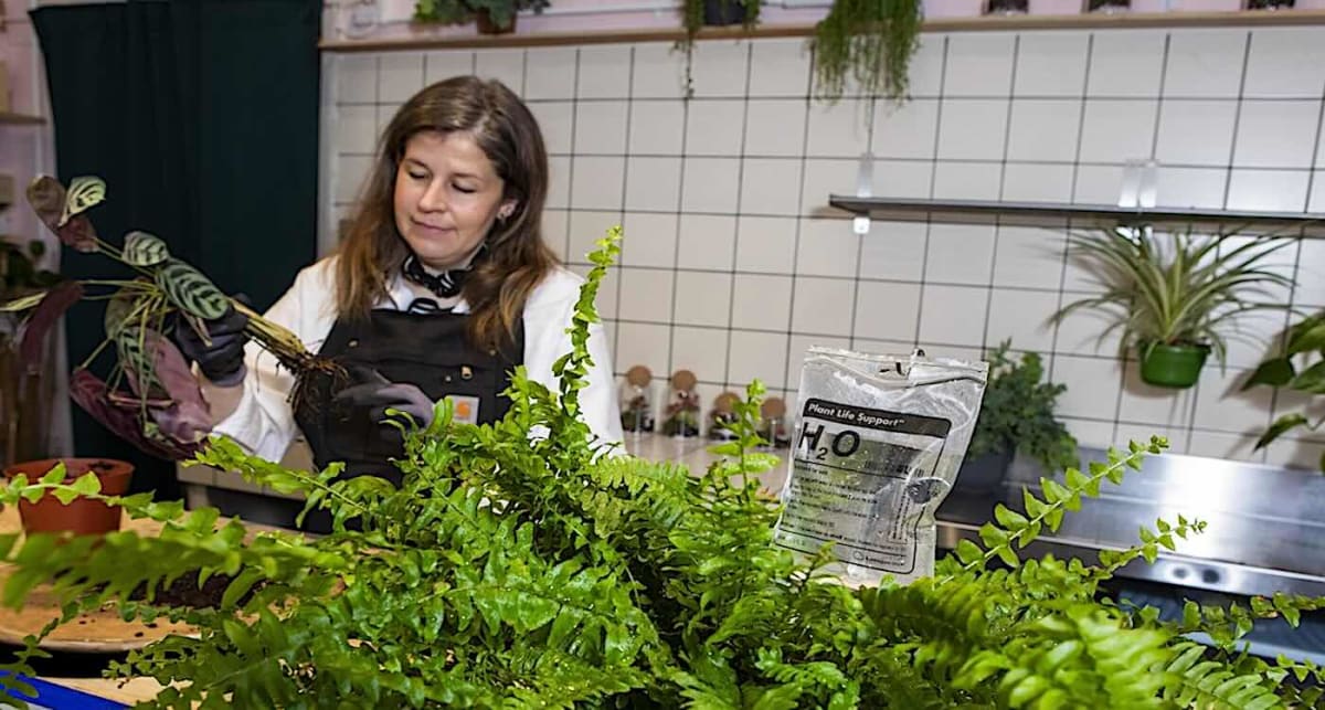 Edinburgh Opens UK's First Houseplant Hospital