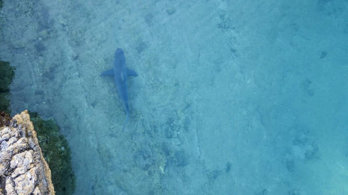 Turkish Fishermen Triple Marine Sanctuaries in 5 Years - Image 3