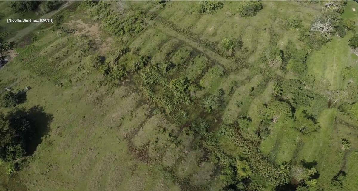 Aerial view of ancient pre-Colombian irrigation canals and raised agricultural fields in northern Colombia