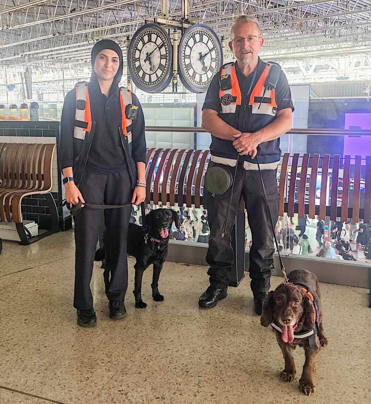 Dogs Patrol London's Waterloo Station in UK Transit First - Image 2