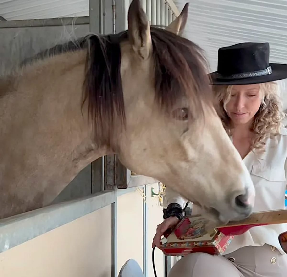 Rescue Horse Learns Guitar, Inspires Singer's First Album - Image 2