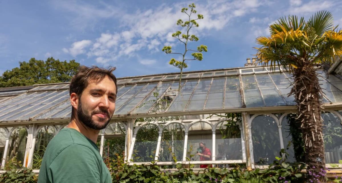 Horticulturist Alberto Trinco stands beside towering agave flower stalk piercing greenhouse ceiling at Birmingham Botanical Gardens